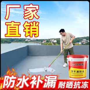 德国品质沃特浦屋顶防水补漏胶房顶楼顶胶水外墙裂缝防水沥青漆补