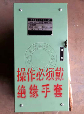 HHP1-100/200/300/0/0/0分区开关封闭式铁壳负荷开关