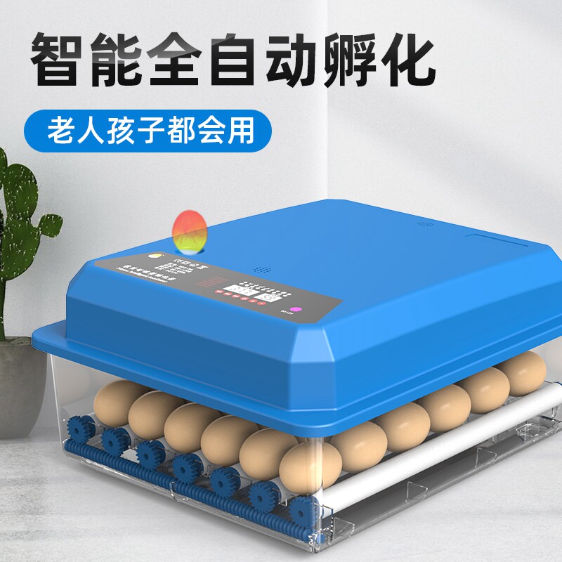 全自动孵蛋器家用 智能泡沫孵化箱暖福宝孵雏设备