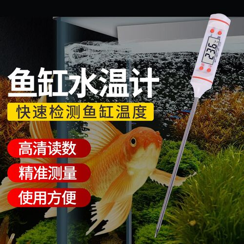 鱼缸温度计高精度测水温计养殖水族专用电子数显探针式龟缸测量计