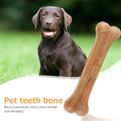 8 Inch Pet Chew Bone Non-Toxic Creative Molar Stick