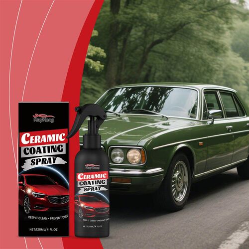 RAYHONG Automotive Ceramic Coating Spray - Paint Renovation
