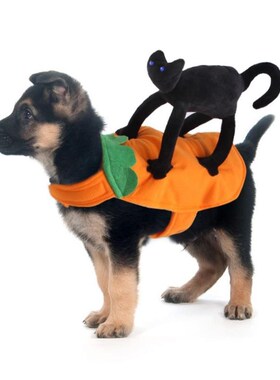 Cowboy horse riding costume pet costume Halloween dog cloths