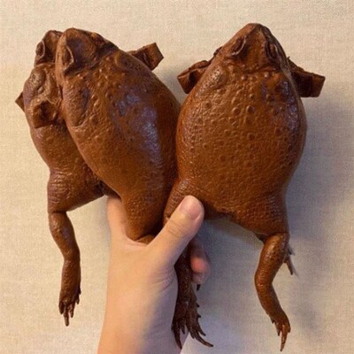 Sugar Cane Toad full-body purse 2022蟾蜍蛤蟆全身钱包外贸跨境
