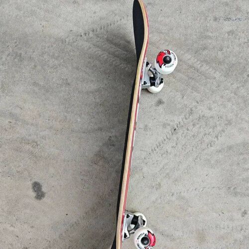 Baker Complete Street Skateboard Double Kick Maple Wood Cool
