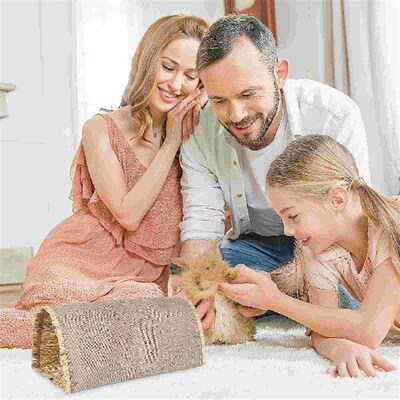 Hamster Tunnel Chinchilla Sleep Nest Girl Toy Rabbit Grass