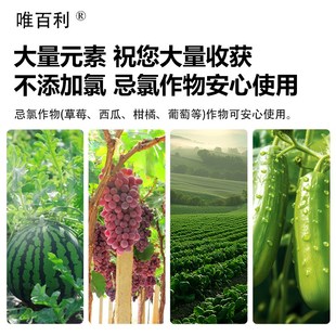 大量元素水溶肥平衡型高氮高磷高钾蔬菜果树专用复合肥肥料叶面肥