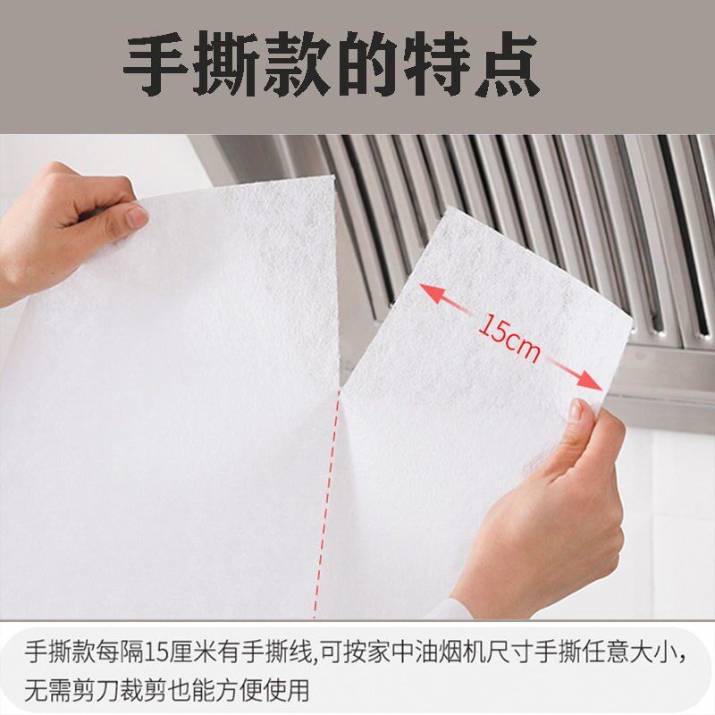 Japanese bosses lampblack machine filter one-time oil图片