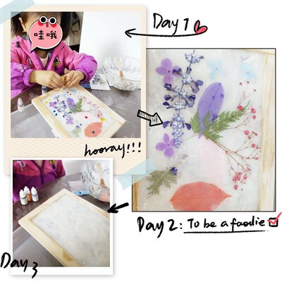DIY Papermaking Kit for Kids Ancient Method Flower Paper Dry
