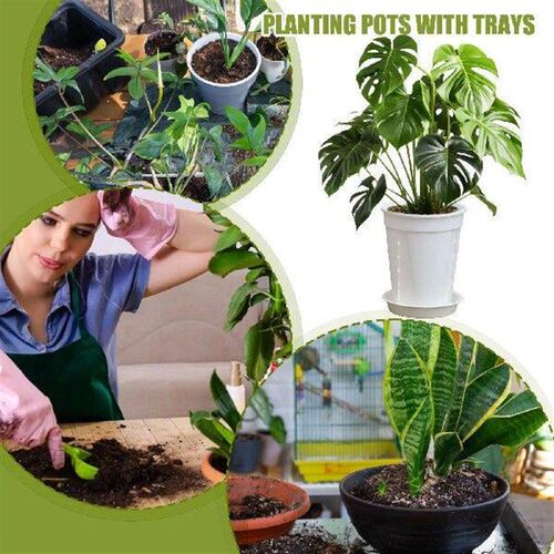 Plants Pots Pot Planter 5 Piece Containers Box Grow With