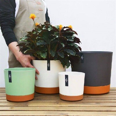 Creative Plastic Bonsai Flowerpot Frosted Large-capacity