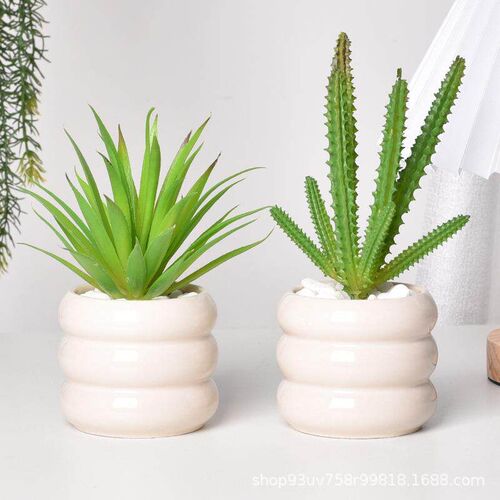 Factory wholesale ceramic creative fleshy circle flower pot