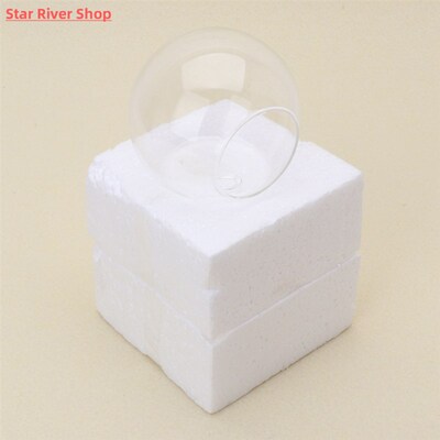 Transparent Glass Vase Wall Hanging Hydroponic Terrarium Fis