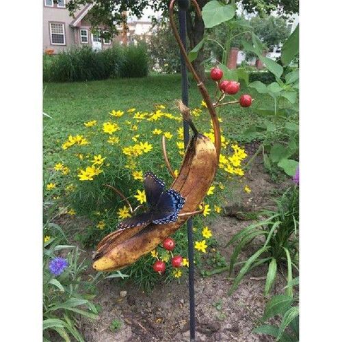 2 Piece Outdoor Hanging Butterfly Feeder As Shown Metal For