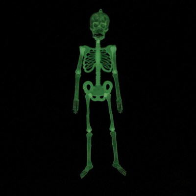 Spooky glow-in-the-dark skeletons decorated for Halloween