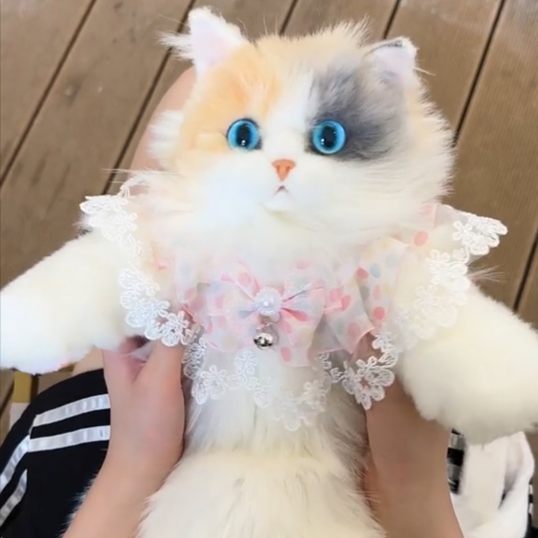 网红三花猫仿真毛绒背包公仔图片