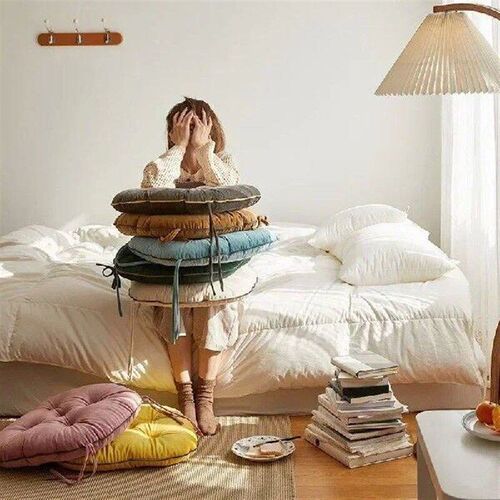 Student /office chair cushion plush cushion / home dining