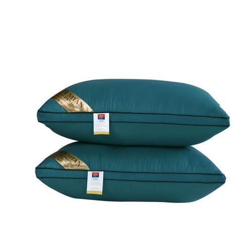 Pillow Healthy pillows feather velvet hotel pillow for bed