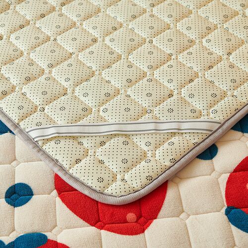 Winter Thickened Milk Velvet Bed Pad Warmer Coral Velvet Mat