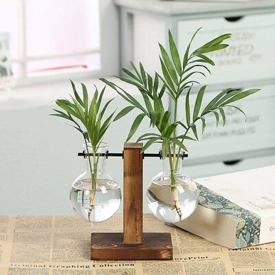 Hydroponic Vase Vintage Desktop Plant Terrarium Planter Bulb