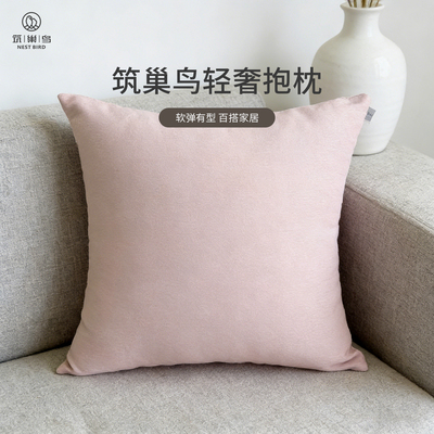 筑巢鸟筑巢鸟轻奢抱枕久客厅家用沙发办公室抱枕清仓随机颜色图案