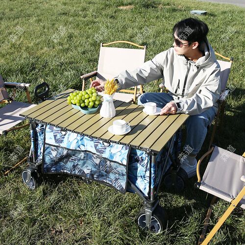 Folding Cart for Night Market Stall Picnic Shopping Camping