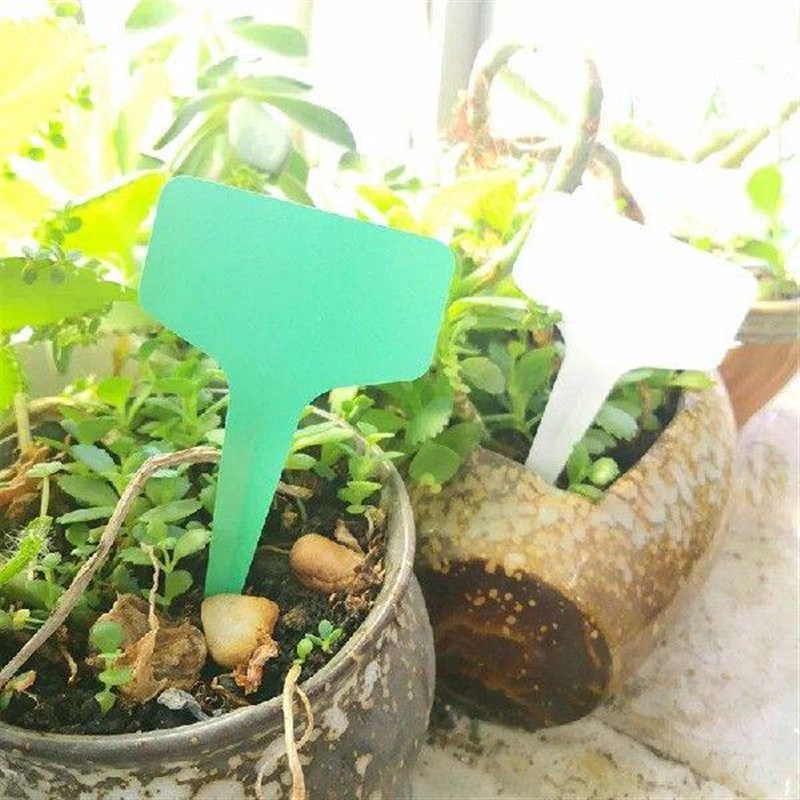 50pcs Garden Plant Labels Markers Sign Tags PVC Nursery图片