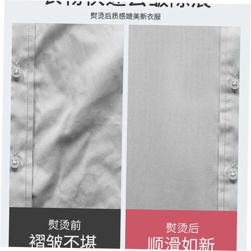 electric compact iron steam soleplate clothes steamer 熨斗