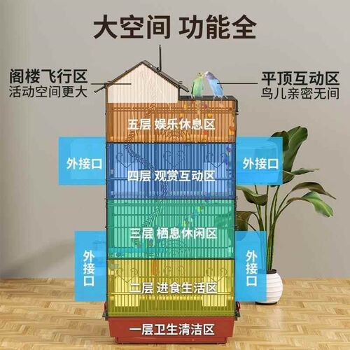 Parrot cage Xuanfeng special peony Myna tiger skin live bird