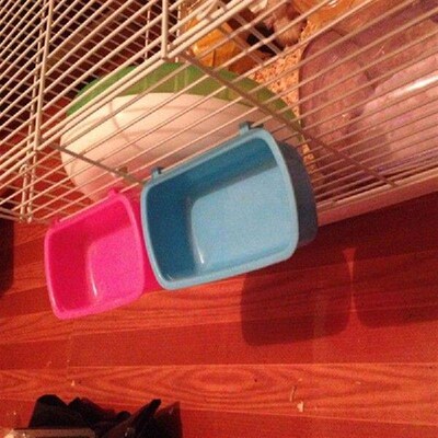 Plastic Hamster Cup Small Pet Cage Water Bowl for Birds