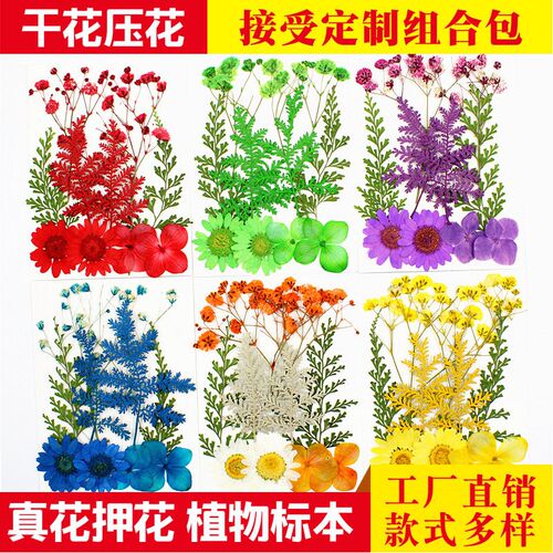 Dried Flower Pressed Flower Combination Packet, Embossed Rea