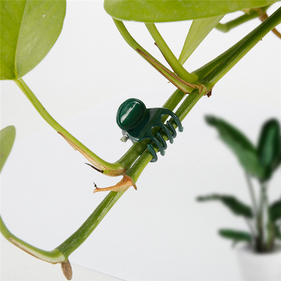 100PCS Plastic Plant Support Clips Orchid Stem Clip for Vine