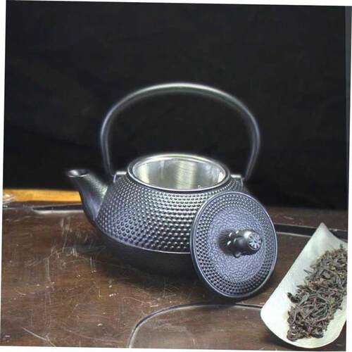 Iron Tea Pot with Stainless Steel Infuser Cast Iron Teapot