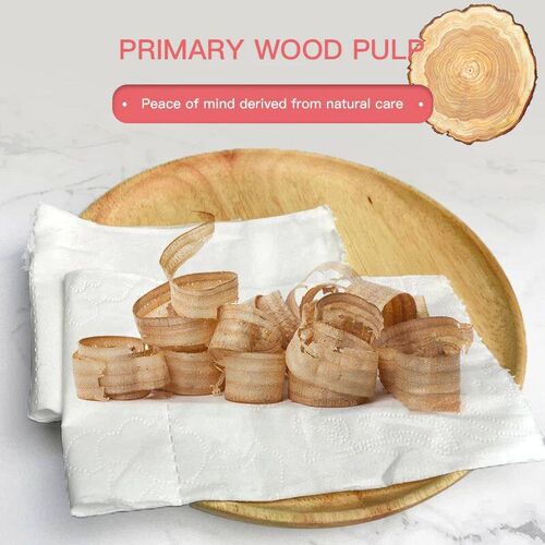 8 Rolls of Household Paper Towels on Behalf of the Roll Pape