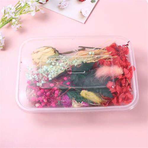Flowers Dried Flower Pressed Dry Natural Mixed Resin