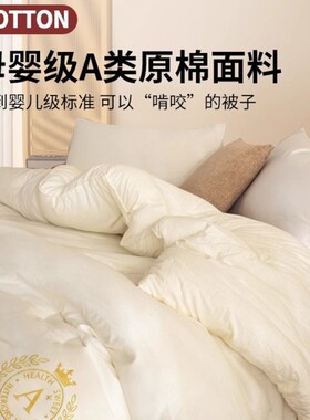 大豆纤维被子5被芯四季通用cp-kmn-春秋202新被款单棉人学生宿舍