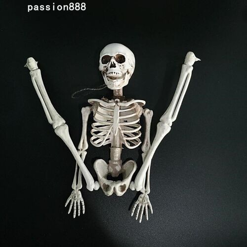 Halloween Skeleton Rack Decorative Prop 40cm万圣节骷髅骨架