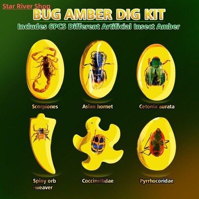 Fly Excavation Kit Amber Excavation Science Toys Interactive
