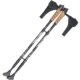 Sticks Anti Shock 2Pcs Poles Walking Trekking Nordic Hiking