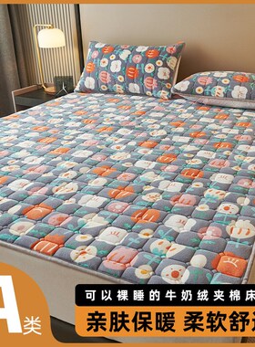 Winter Thickened Milk Velvet Bed Pad Warmer Coral Velvet Mat