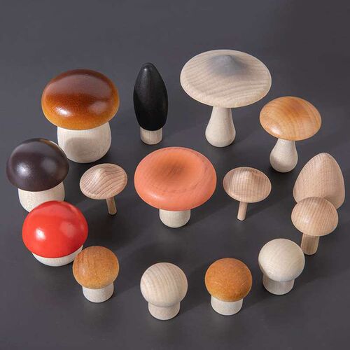 eech smulaton mushroom game ay early educaton magnaton play