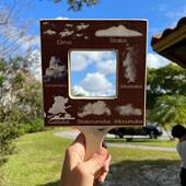 Finder Guide 自然指南查找器 云朵树叶昆虫创意向导工艺品Nature