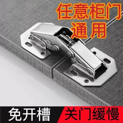 Comprehensive Collection of Spring Hinges: Cabinet Door and
