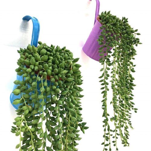 Artificial Succulents Plants Hanging Wall Decor Home Garden