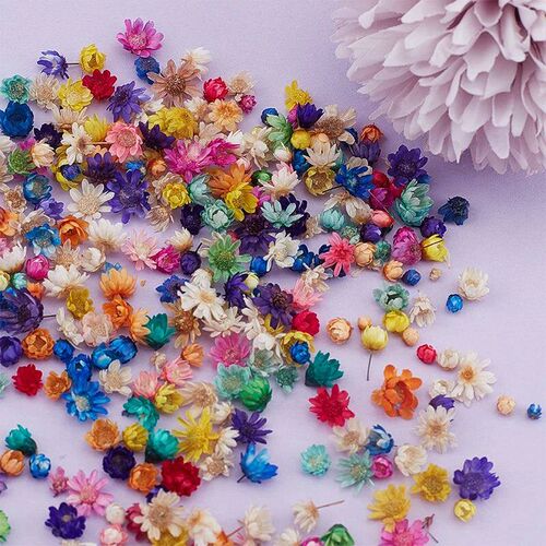 200or100 Pcs Dried Flowers For Epoxy Resin DIY Art Craft Can