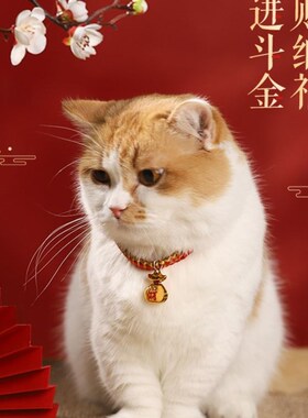 Pet dog collar cat collar bell necklace accessories项圈猫