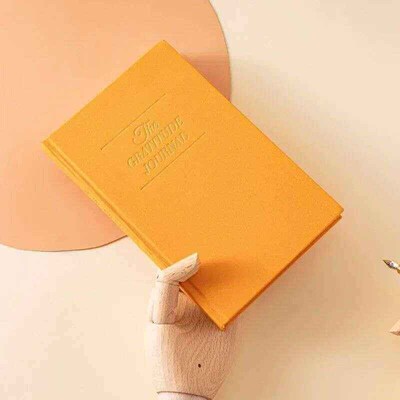 The Gratitude Journal School Student Diary Daily Notebook fo