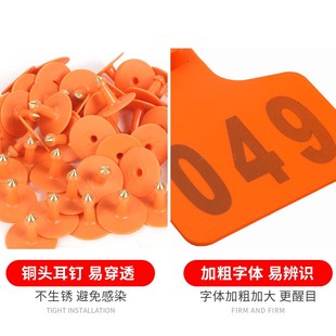 特大号精品牛耳标牌 带字牛耳标 牛耳标 牛标识牌 牛用耳标牌