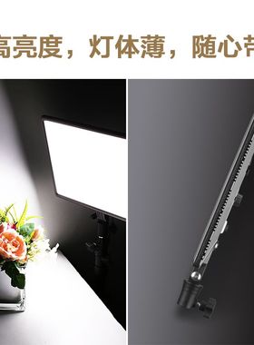 南冠Lumipd摄影补光灯1寸LED常亮柔光色温可调补光灯PD3H