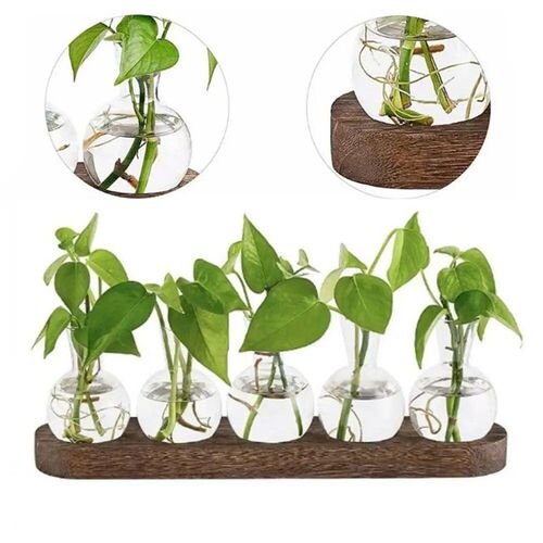 Modern Transparent Hydroponics Glass Vase with Wooden Tray C